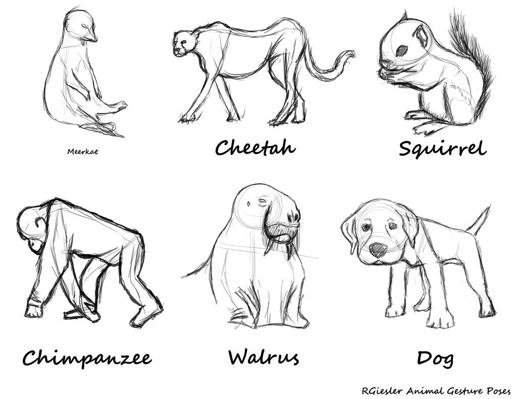 raygeisler_animal_gesture.jpg