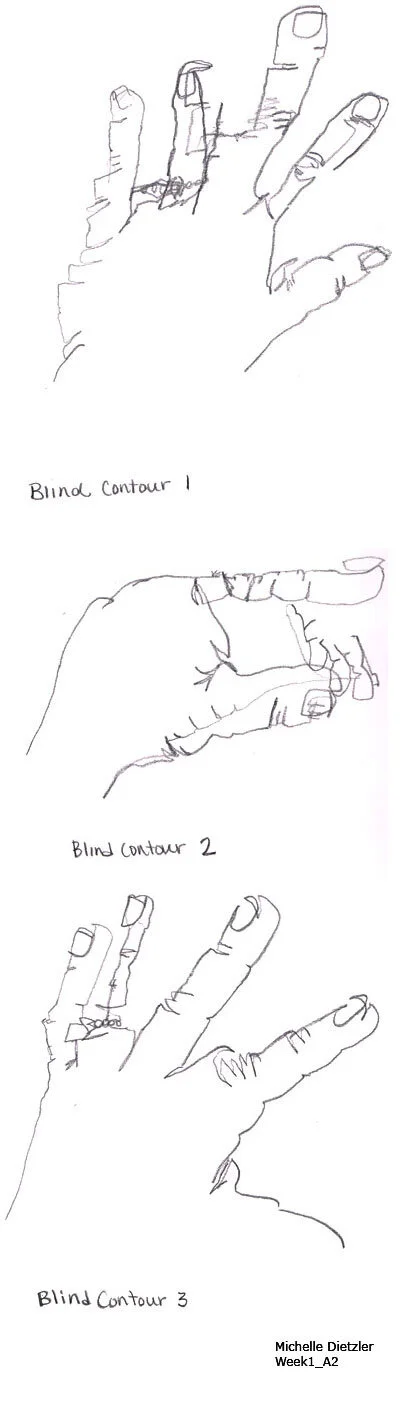 dietzlermichelleblindcontour.jpg