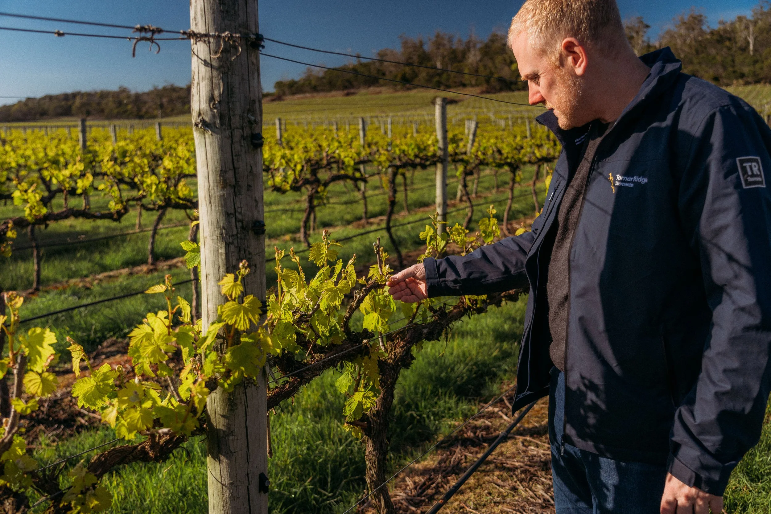 Tamar Ridge Winery 2025 011 Jaccob McKay Photography.JPG