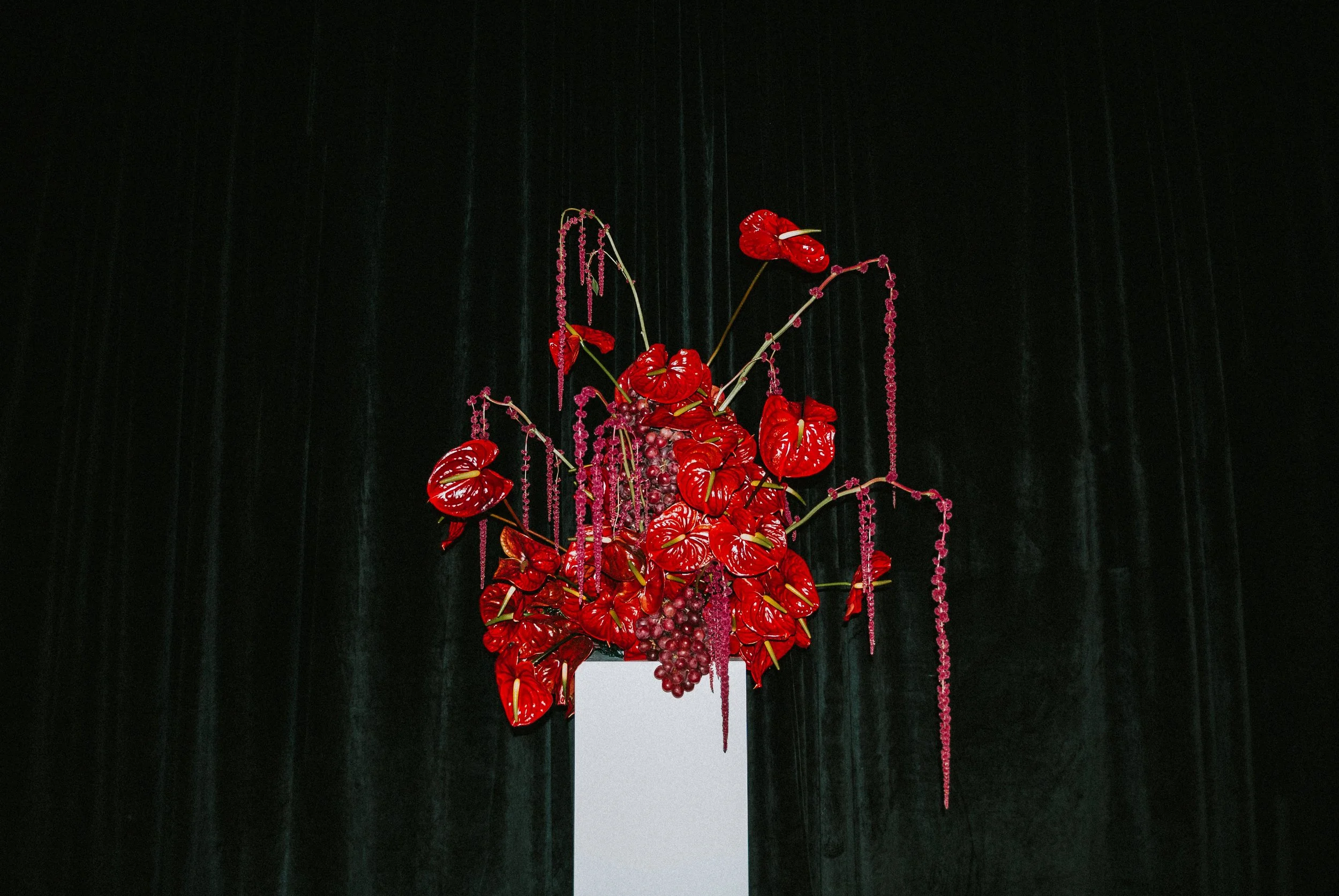 Innocent Bystander Bron Different Launch 010 Jaccob McKay Photography.JPG