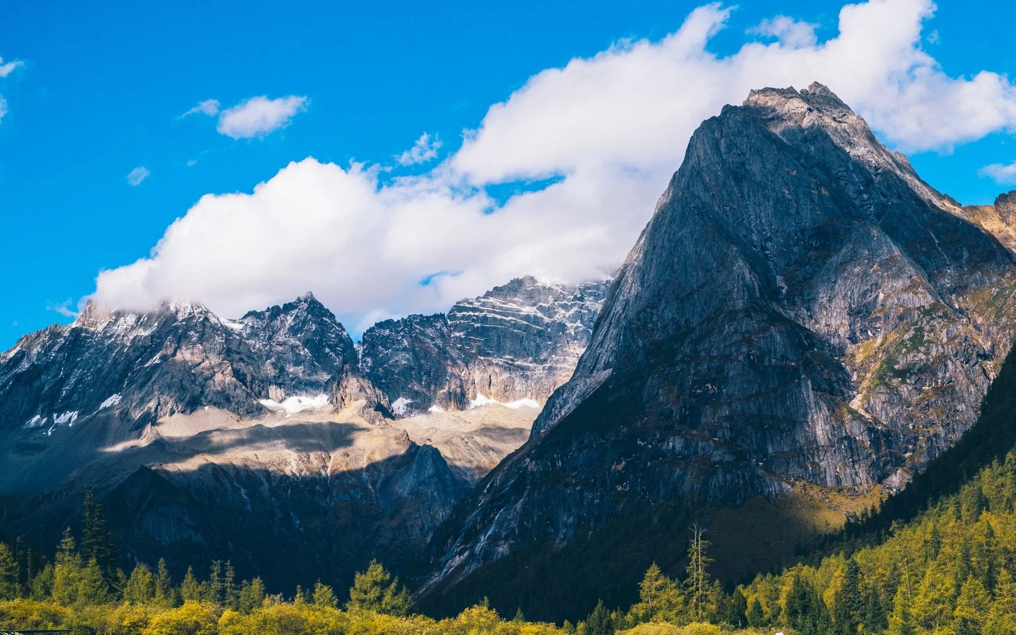 What did you do well this week?