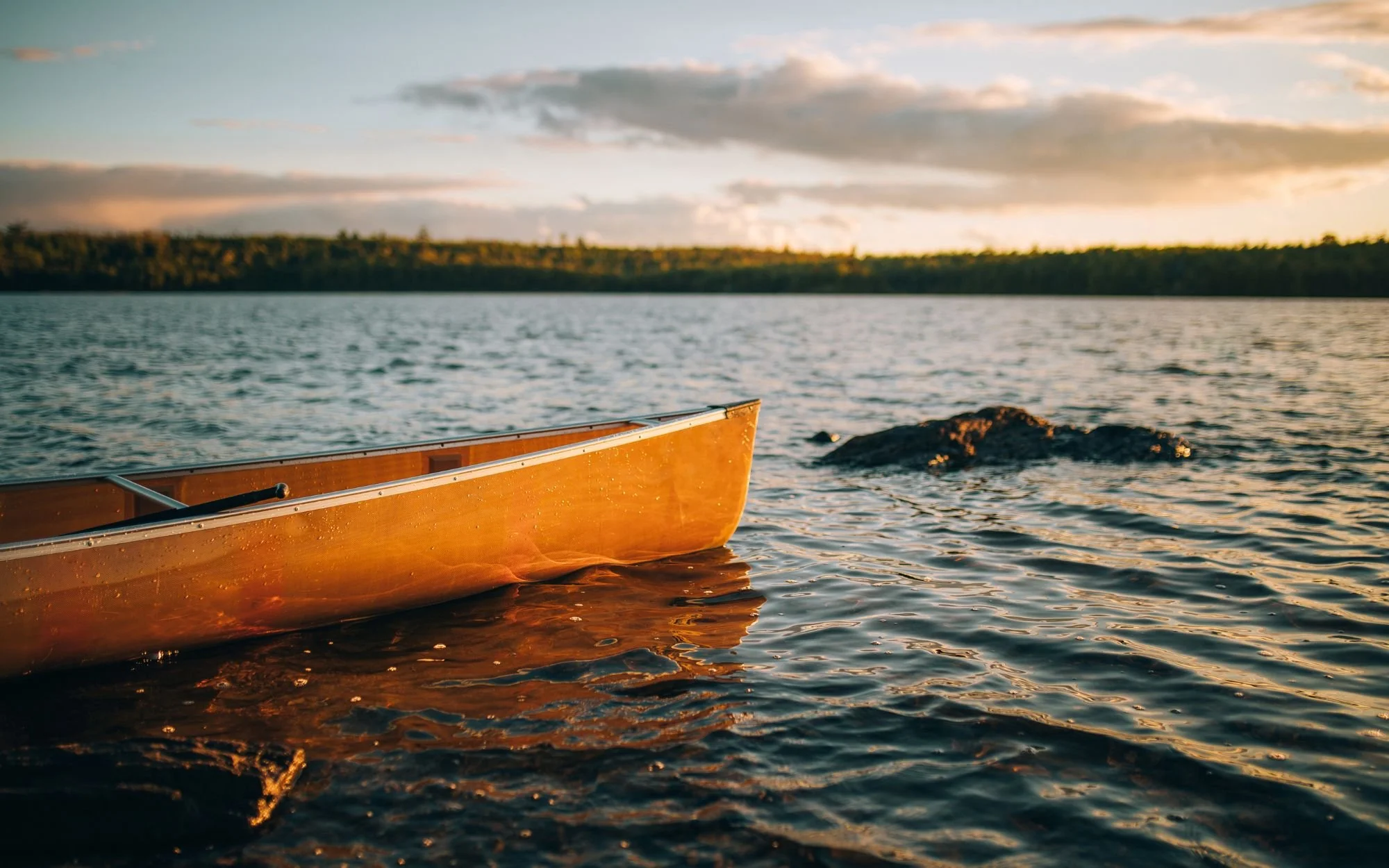 Dare to Set Boundaries 