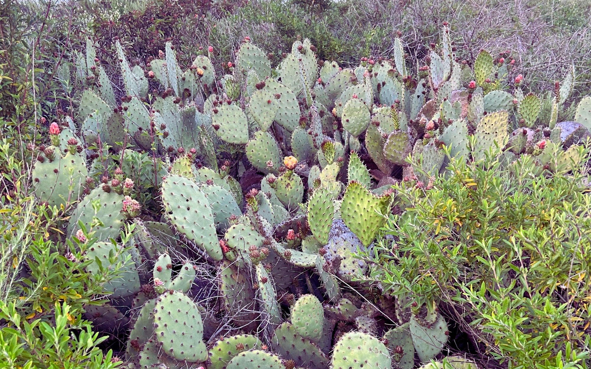 What makes you angry?