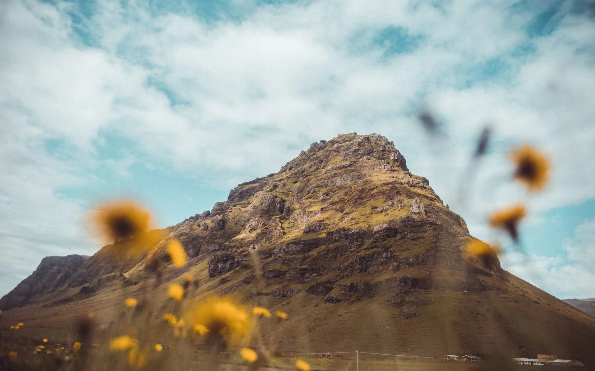 What can nature teach us?