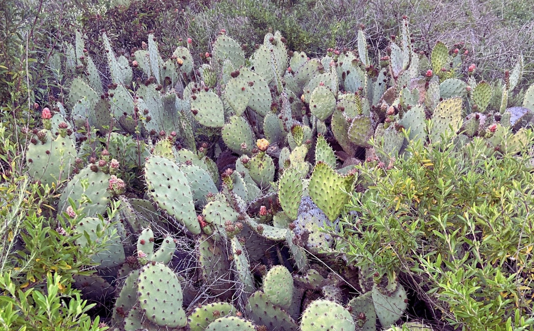 It’s Time to Schedule your Vacation