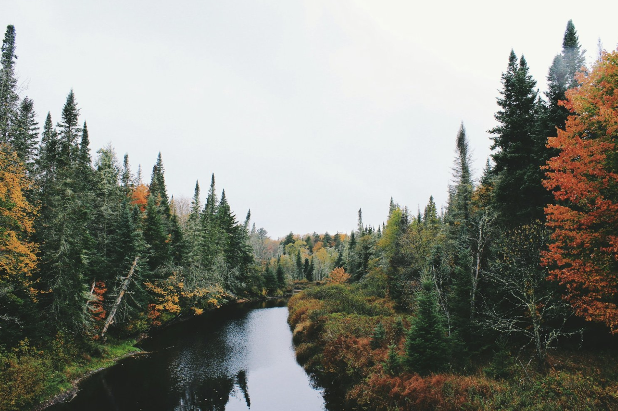 Creating Space for Authentic Leadership: The Power of Reflection