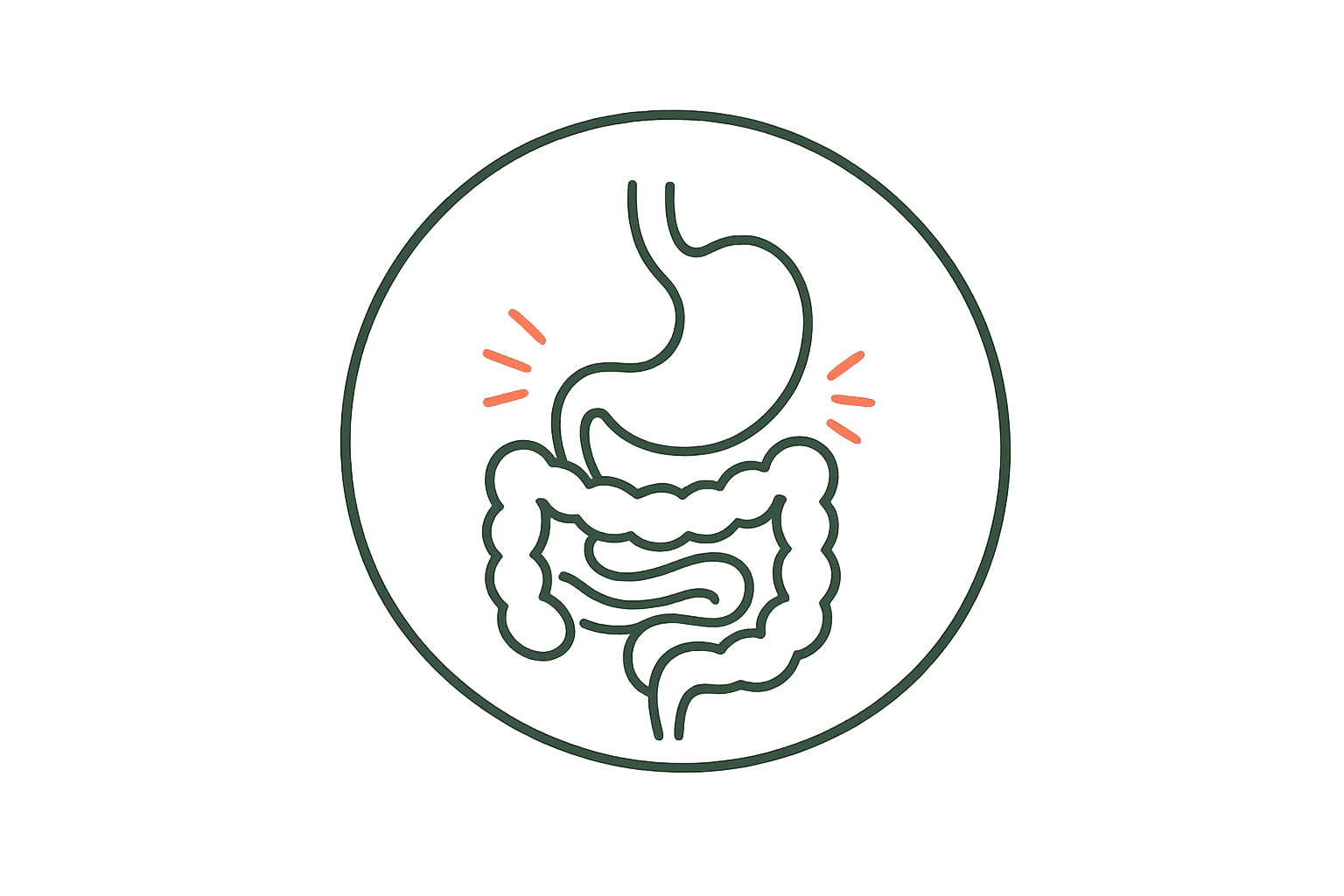 digestion-hormones-sleep