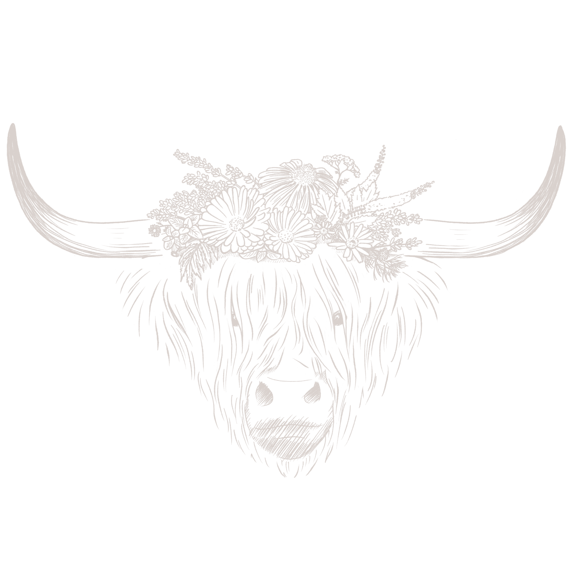 Cave Creek Farm Cow Logo