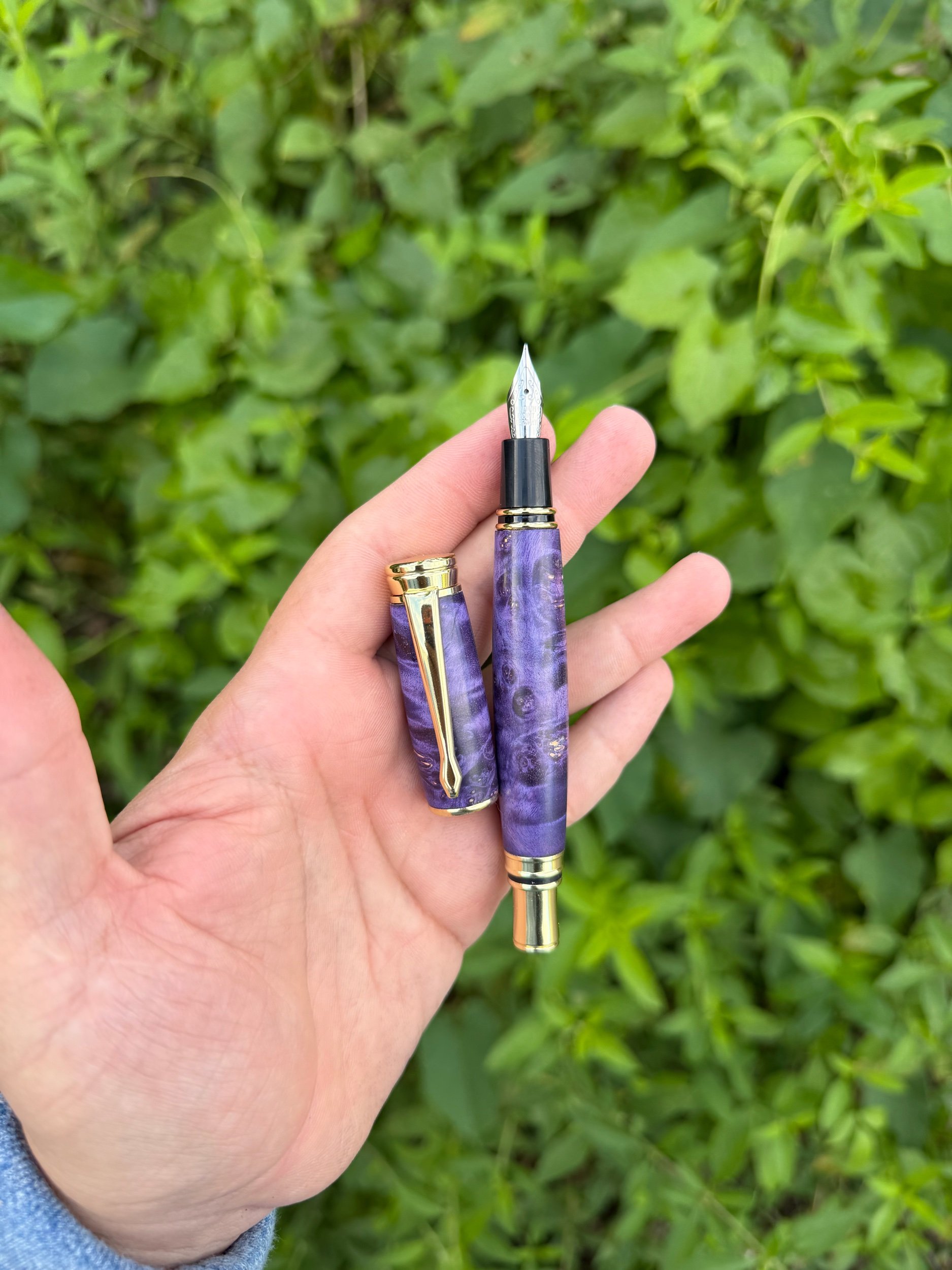 Pluma Fuente Colección Exclusiva