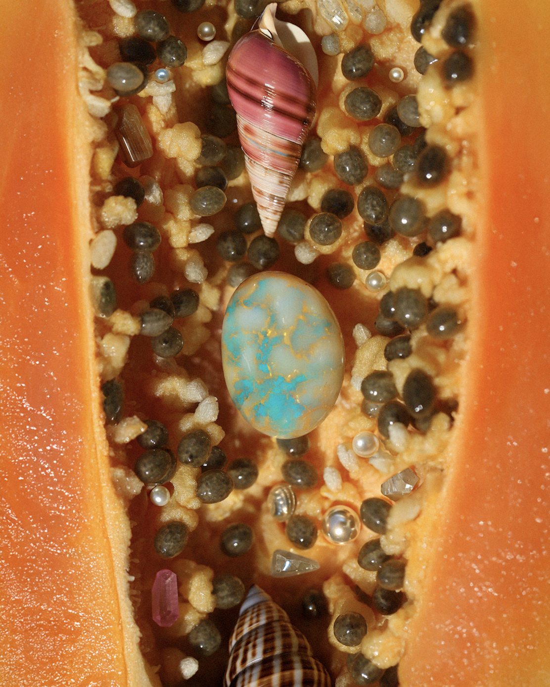 Lello_Papaya.png
