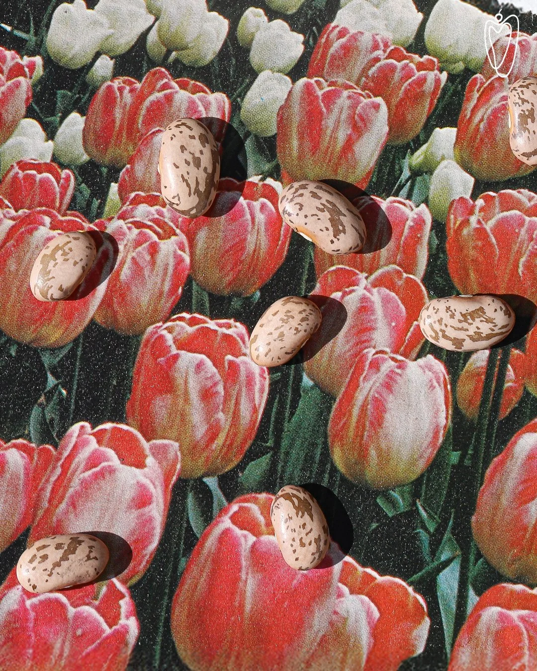 P7.jpg