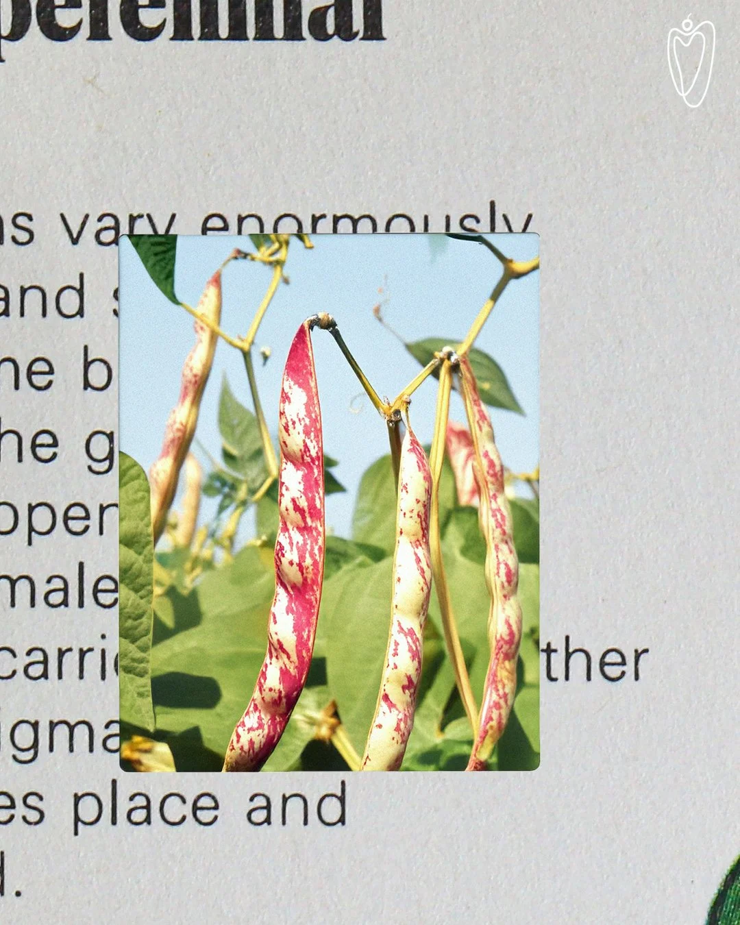 P9.jpg