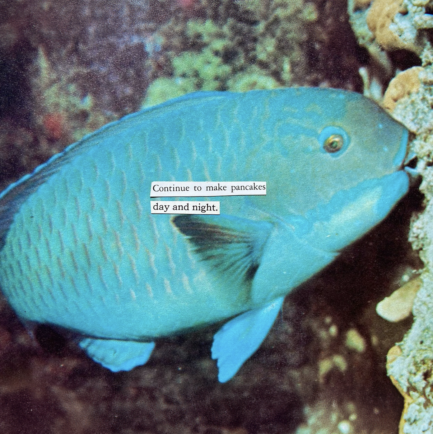 AquapricotMail_PCard.png