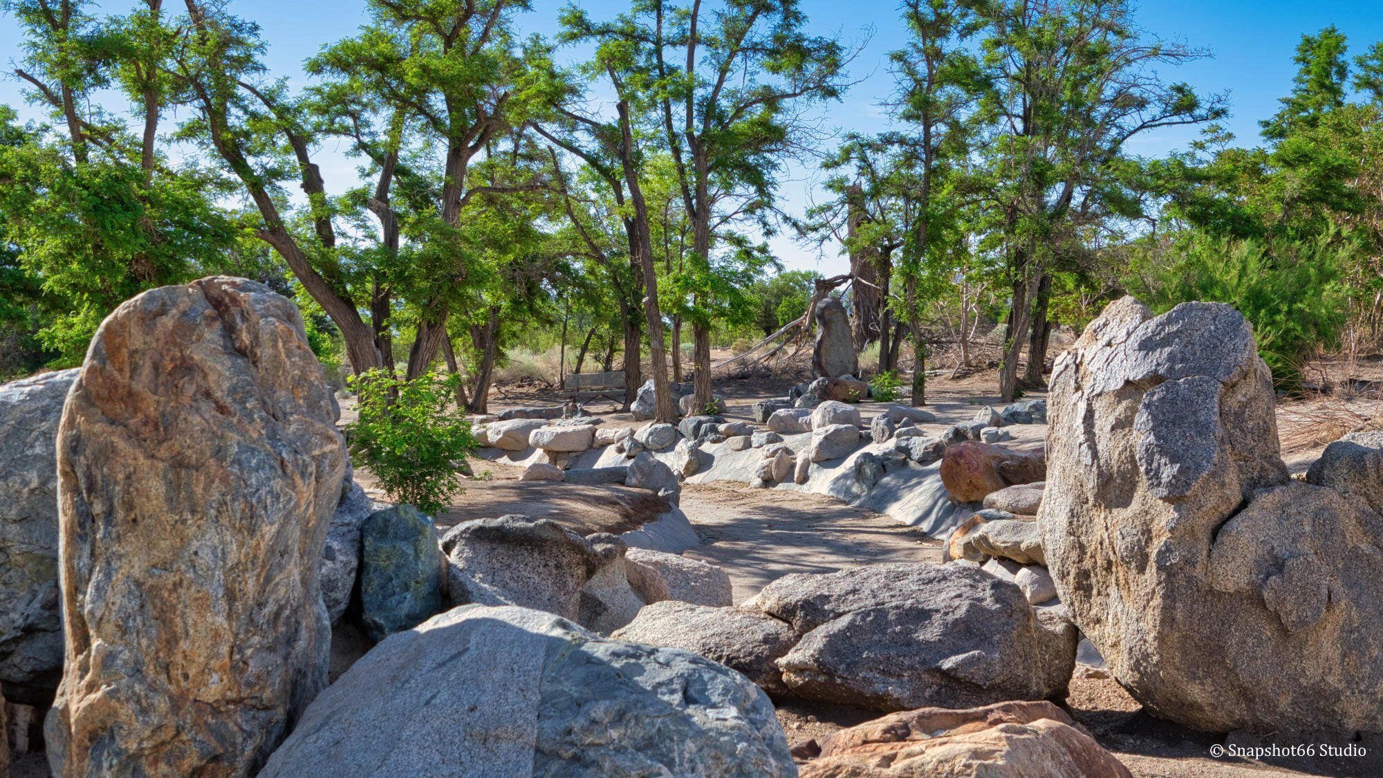 Snapshot66_Landscape_0005.JPG