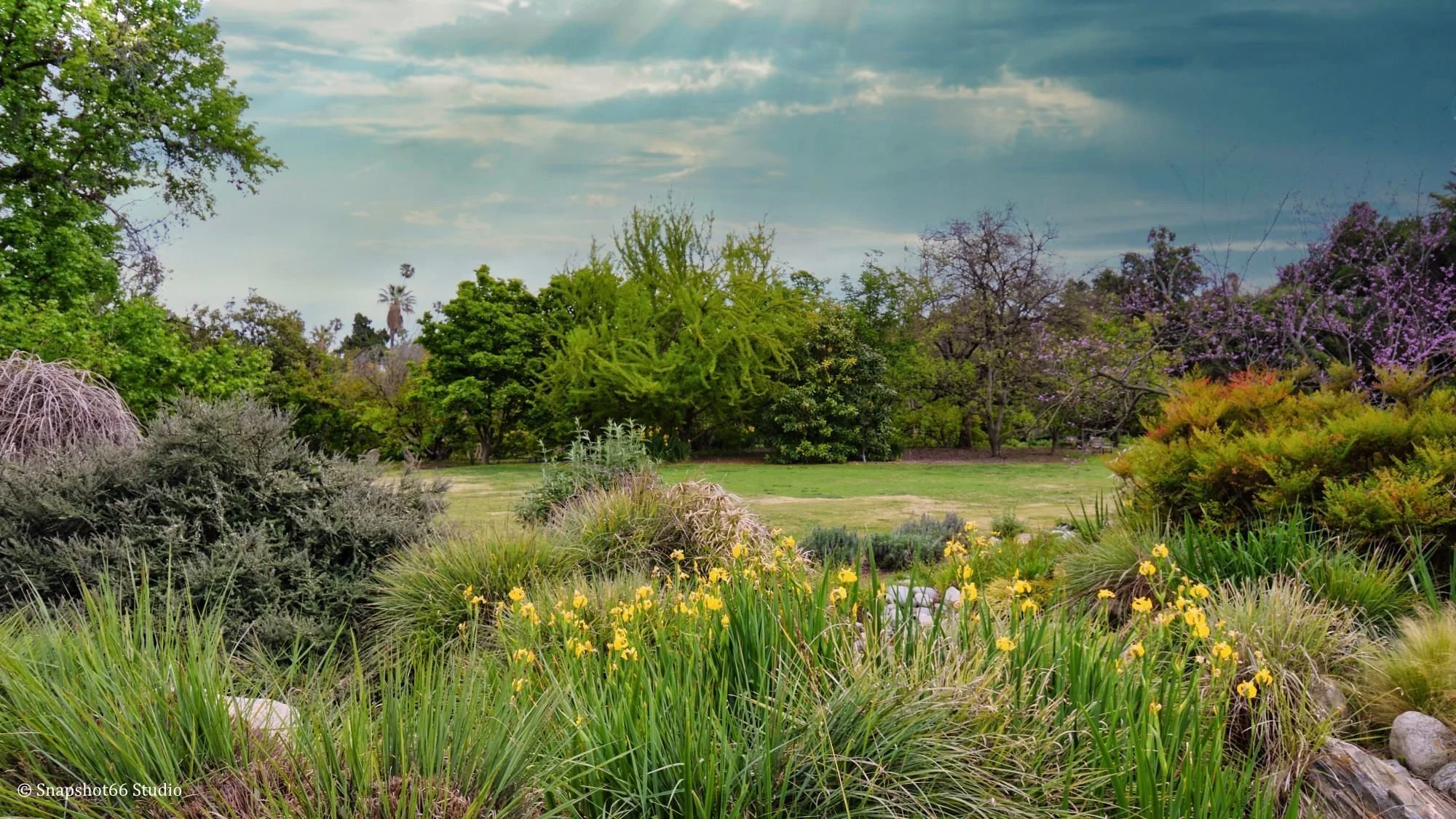 Snapshot66_Landscape_0024.JPG