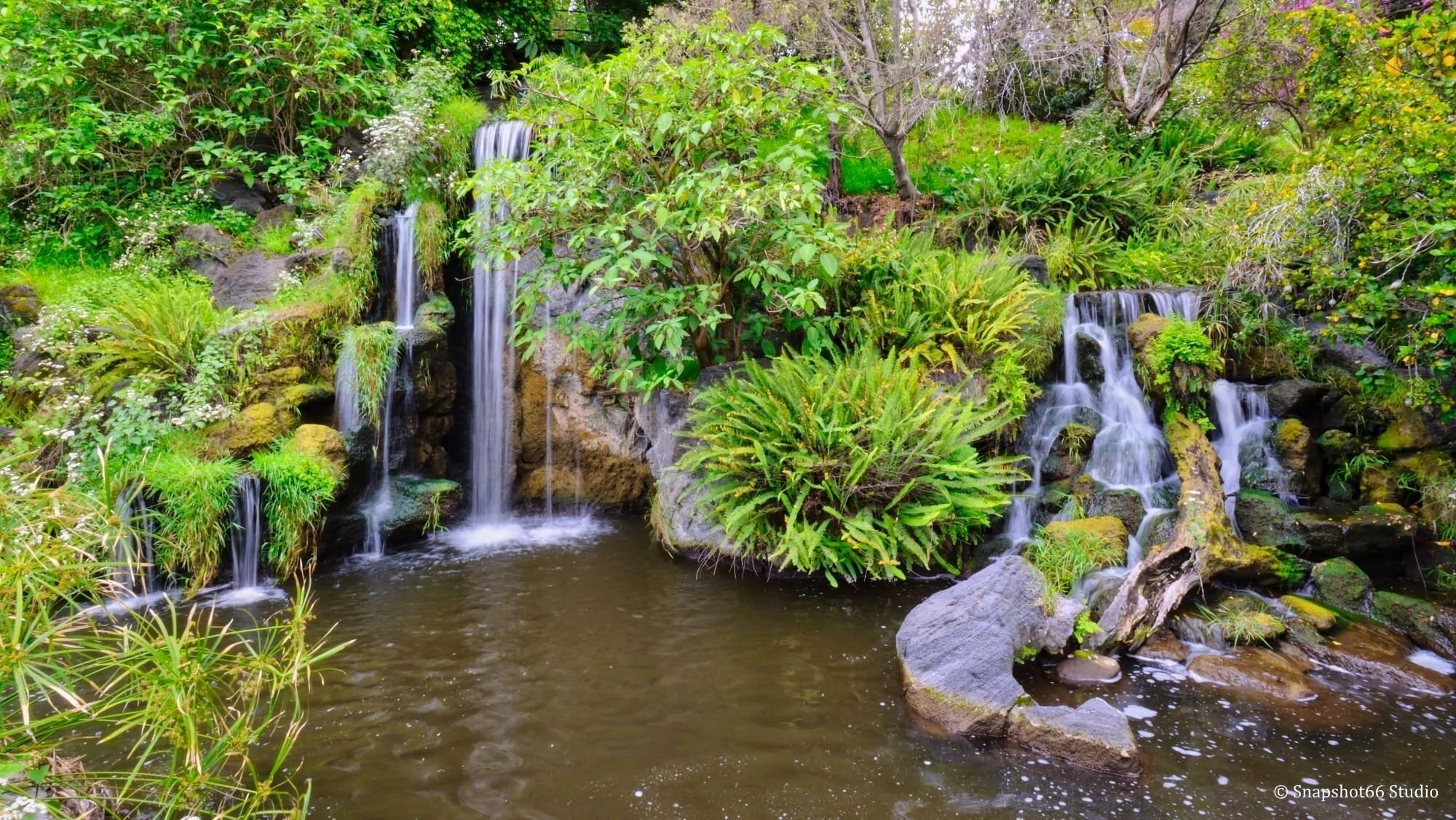 Snapshot66_Landscape_0025.JPG