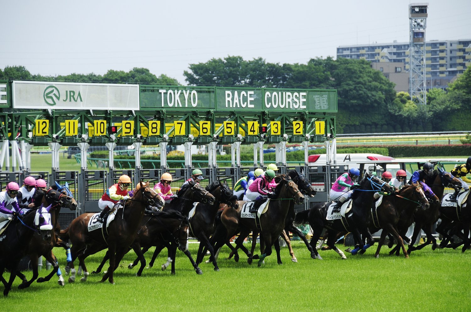 JRA