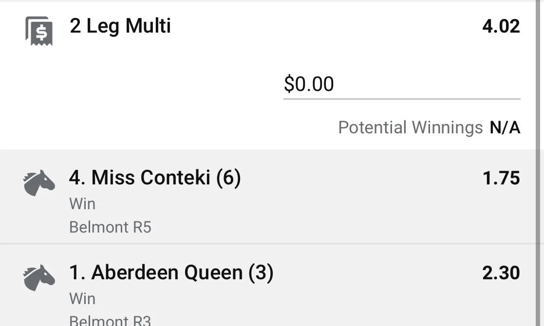 Belmont Double - Stake 2 Units, Minimum Odds 3.7, Best Book (Shop at time of viewing)