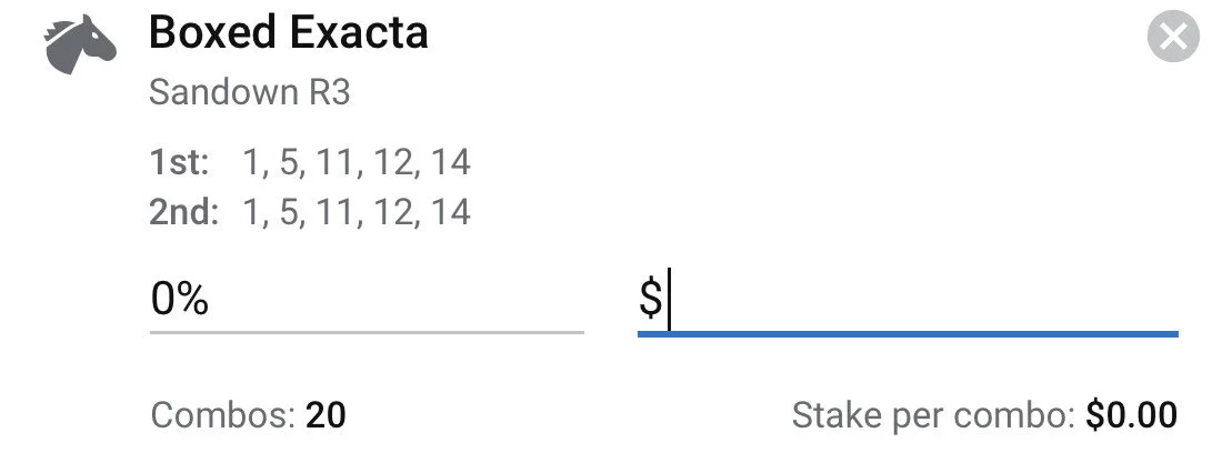 Sandown Race 3 Exacta - Stake 1.5 Units, Best Book ANY