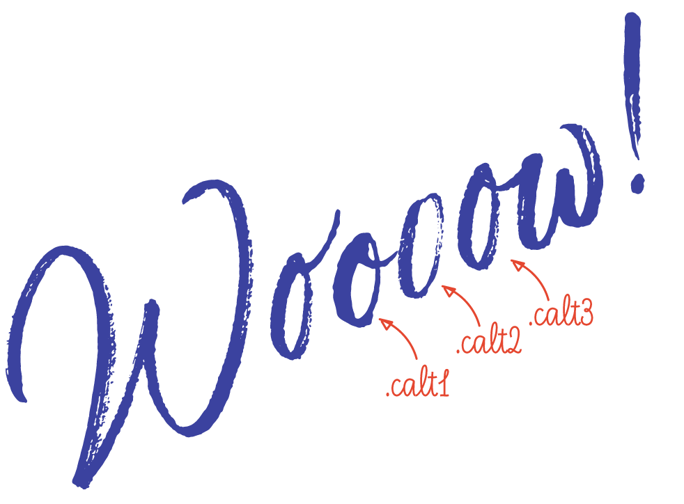 Script Fonts Course — Type Design Class