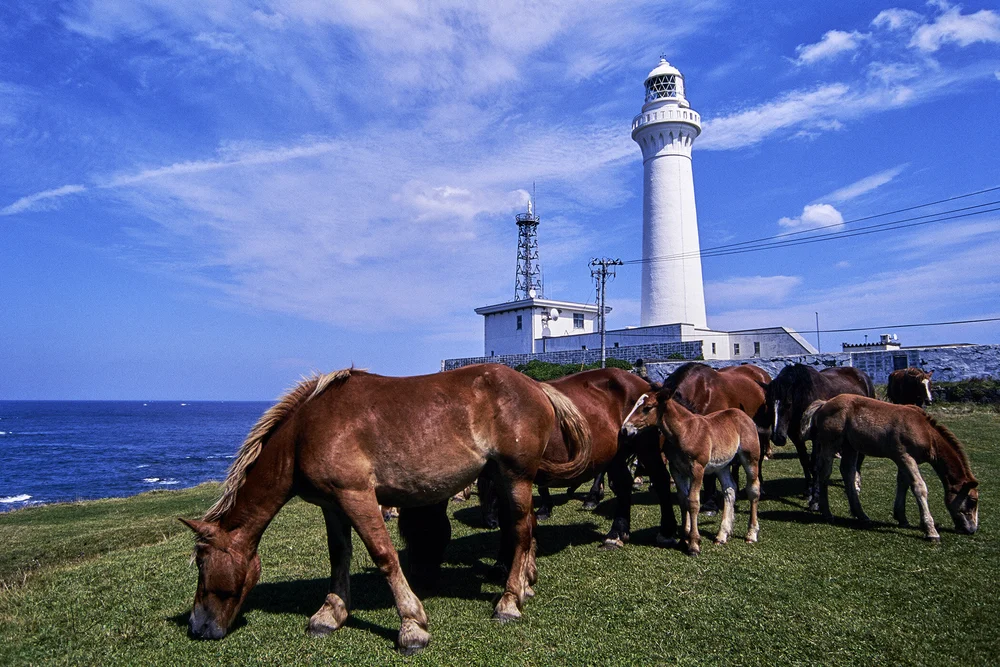 尻屋埼灯台 — PORTRAIT OF JAPANESE LIGHTHOUSE 1992-1998