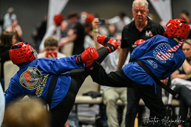 Martial Arts as Sport — Competition, Performance, and the Testing of Skill