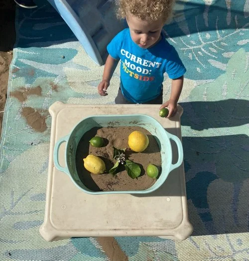 3 FUN SUMMER ACTIVITIES to do when life gives you lemons!!!