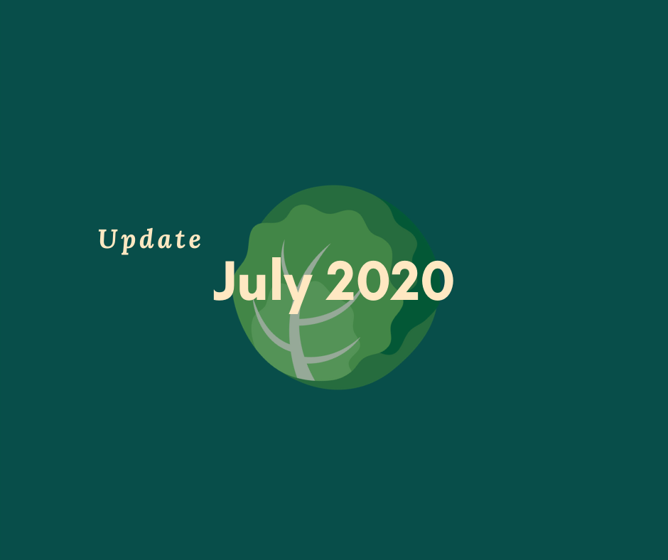 July 2020 - Lots of Good News!