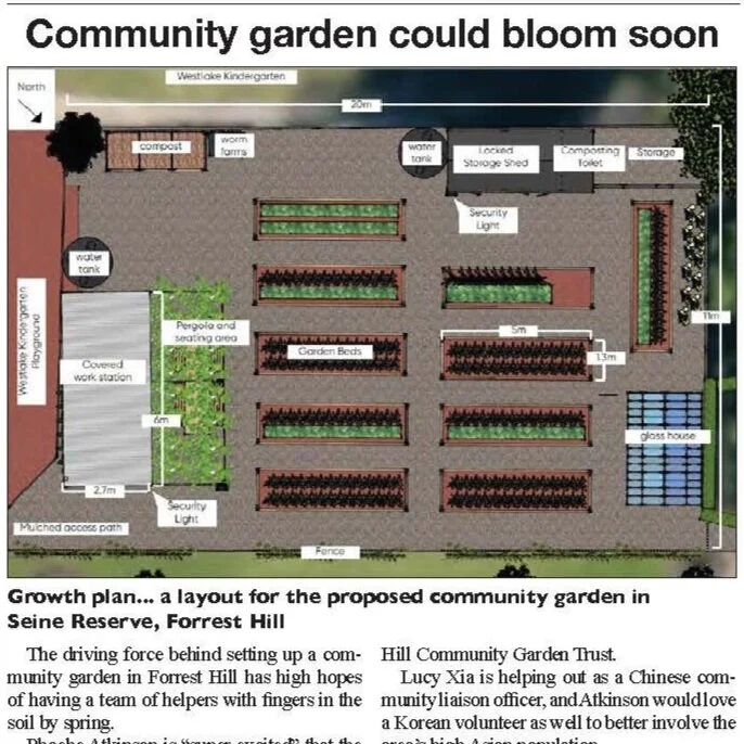 Rangitoto Observer - Aug 2020