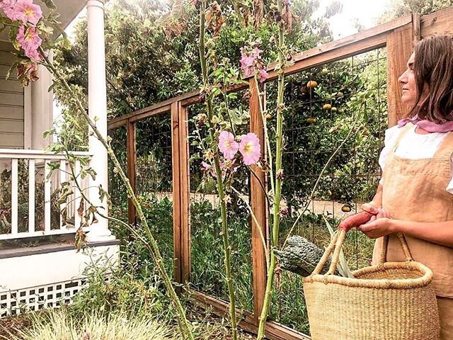 I have been offering complimentary 1:1 counseling sessions all month and have enjoyed speaking with many of you around the world. Next week is the last week to schedule this hour long call. I specialize in healing with medicinal nourishment using foo