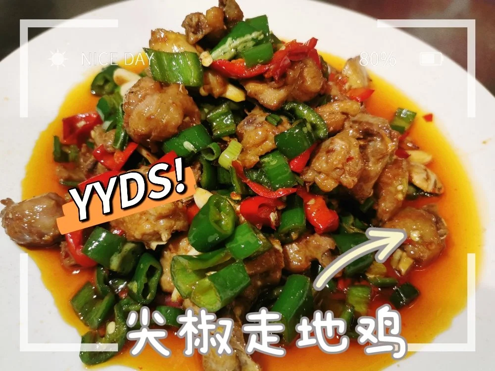 尖椒炒鸡.jpeg