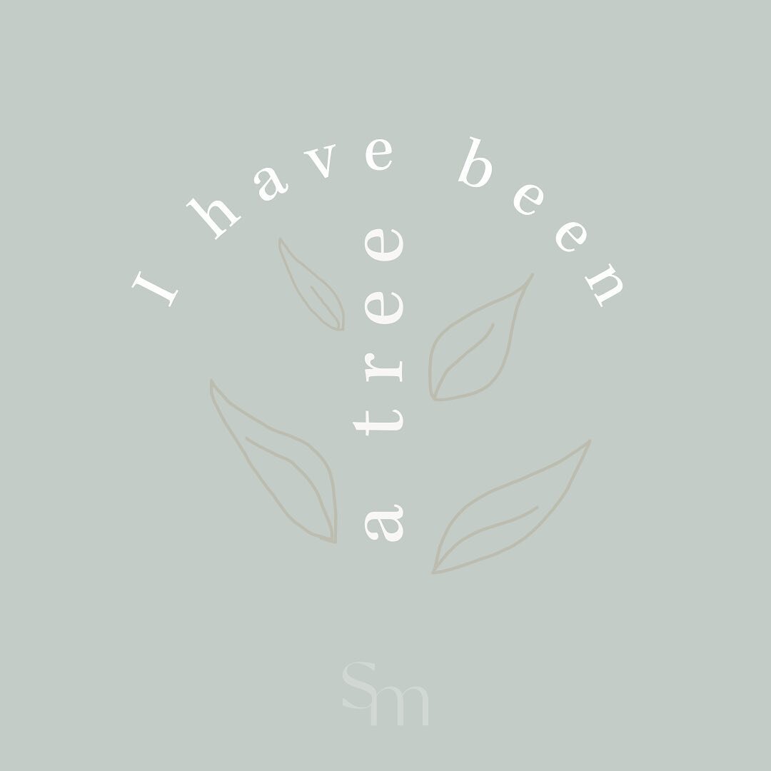 Our bodies are made up of the same fabric as the plants + flowers + fruits bodies. This is why they are resonant remedies for us, because we&rsquo;re made of the same things. A long time ago I was a tree and I will be one again x