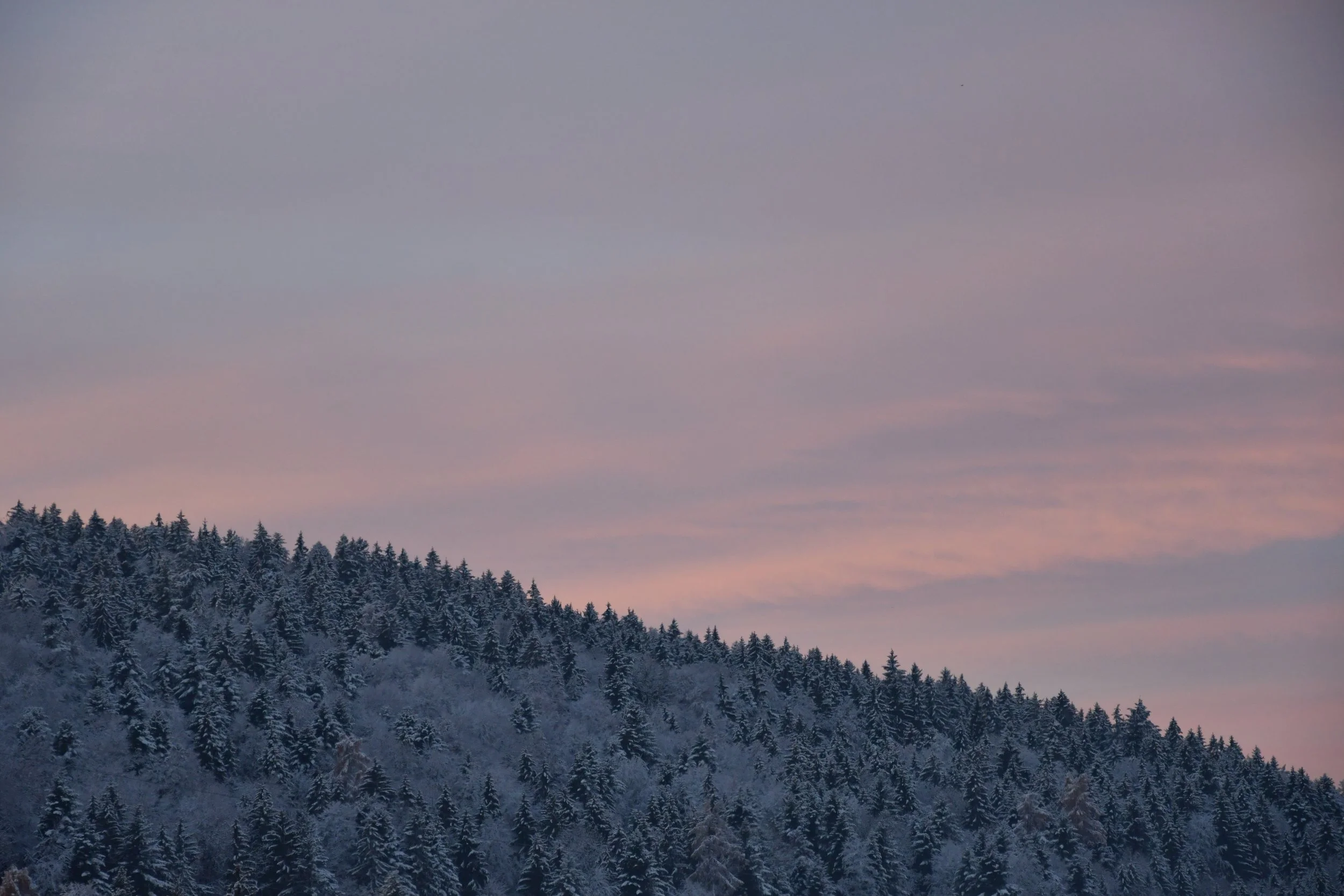 DSC_0494.JPG
