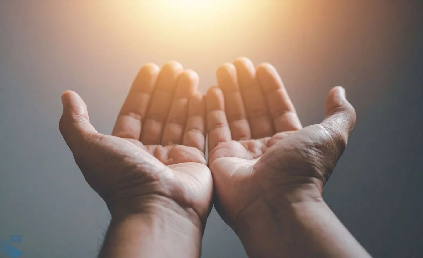 The Movement from Ownership to Stewardship