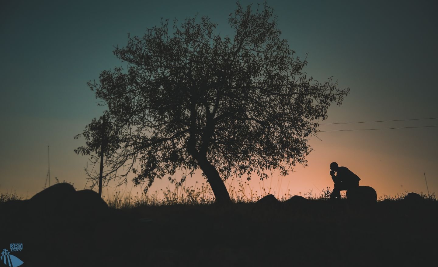Learning to Live From a Posture of Rest