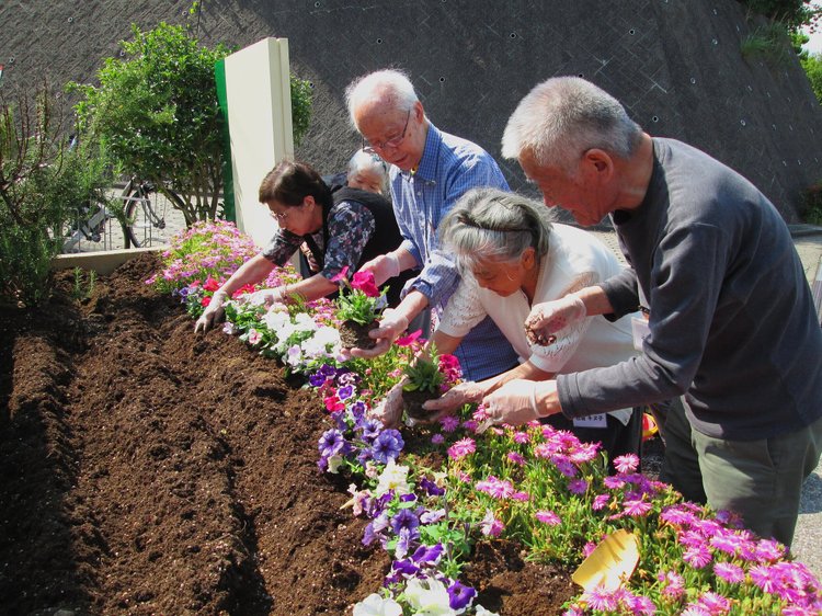 高齢者入居者が施設の庭で花の植栽活動に参加している風景