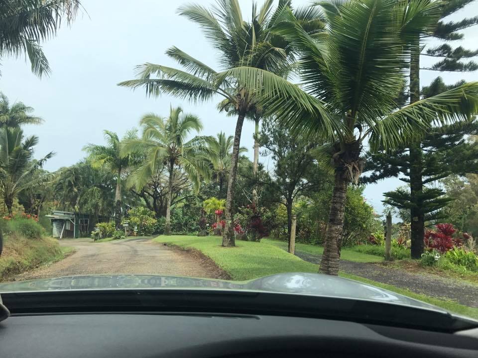 Mauiretreat6.jpg