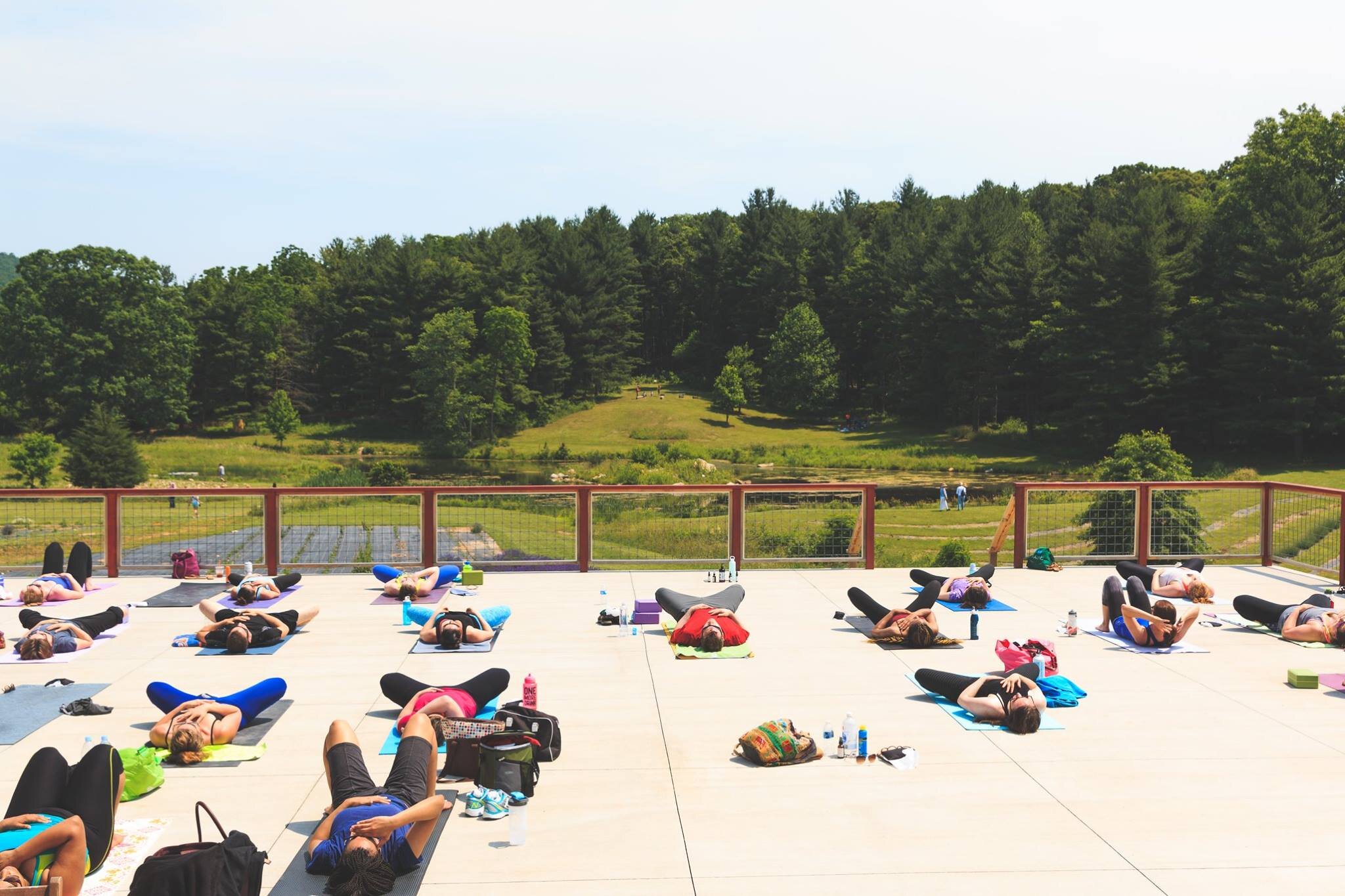 lavenderretreat6.jpg