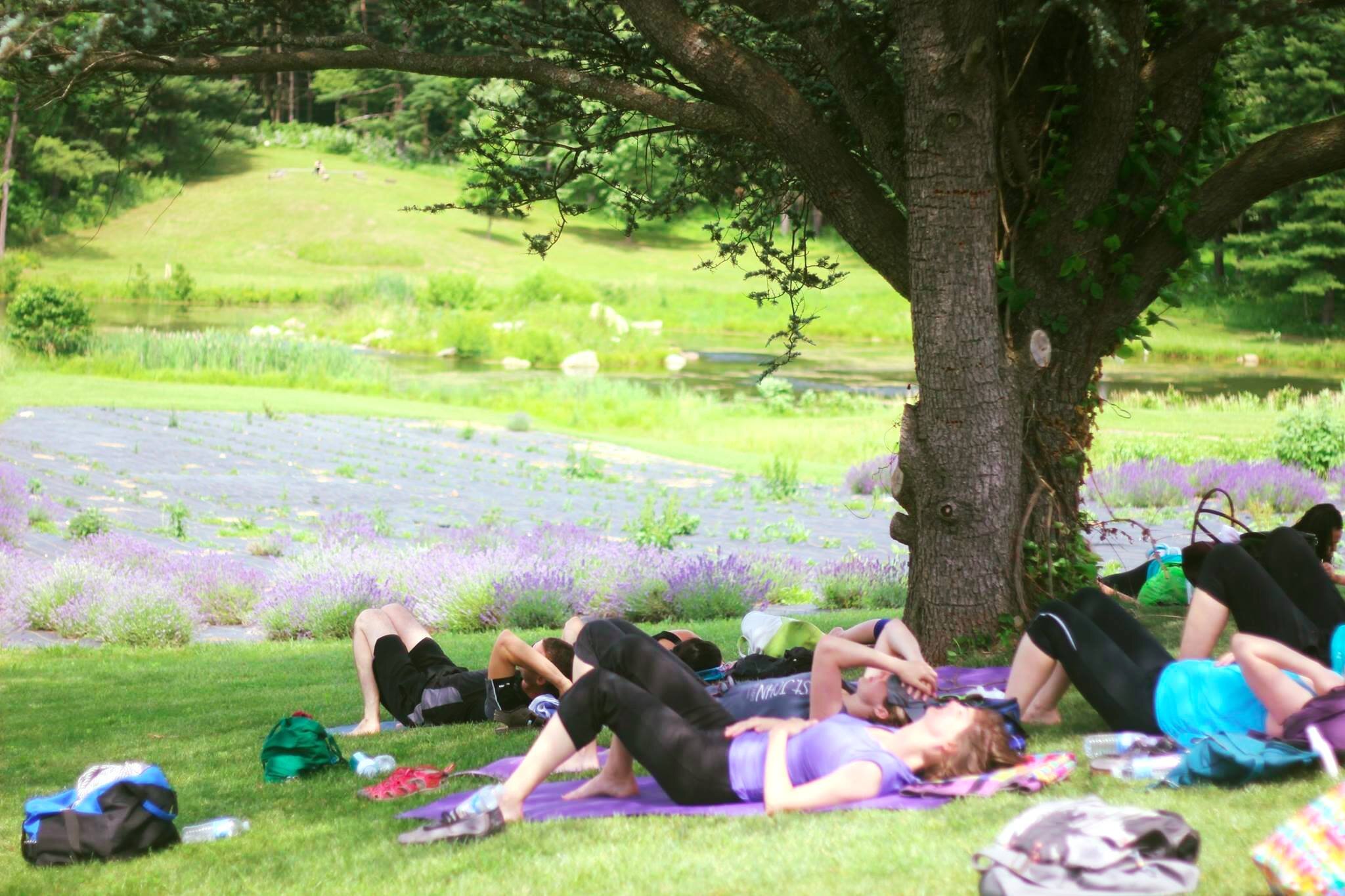 lavenderretreat3.jpg