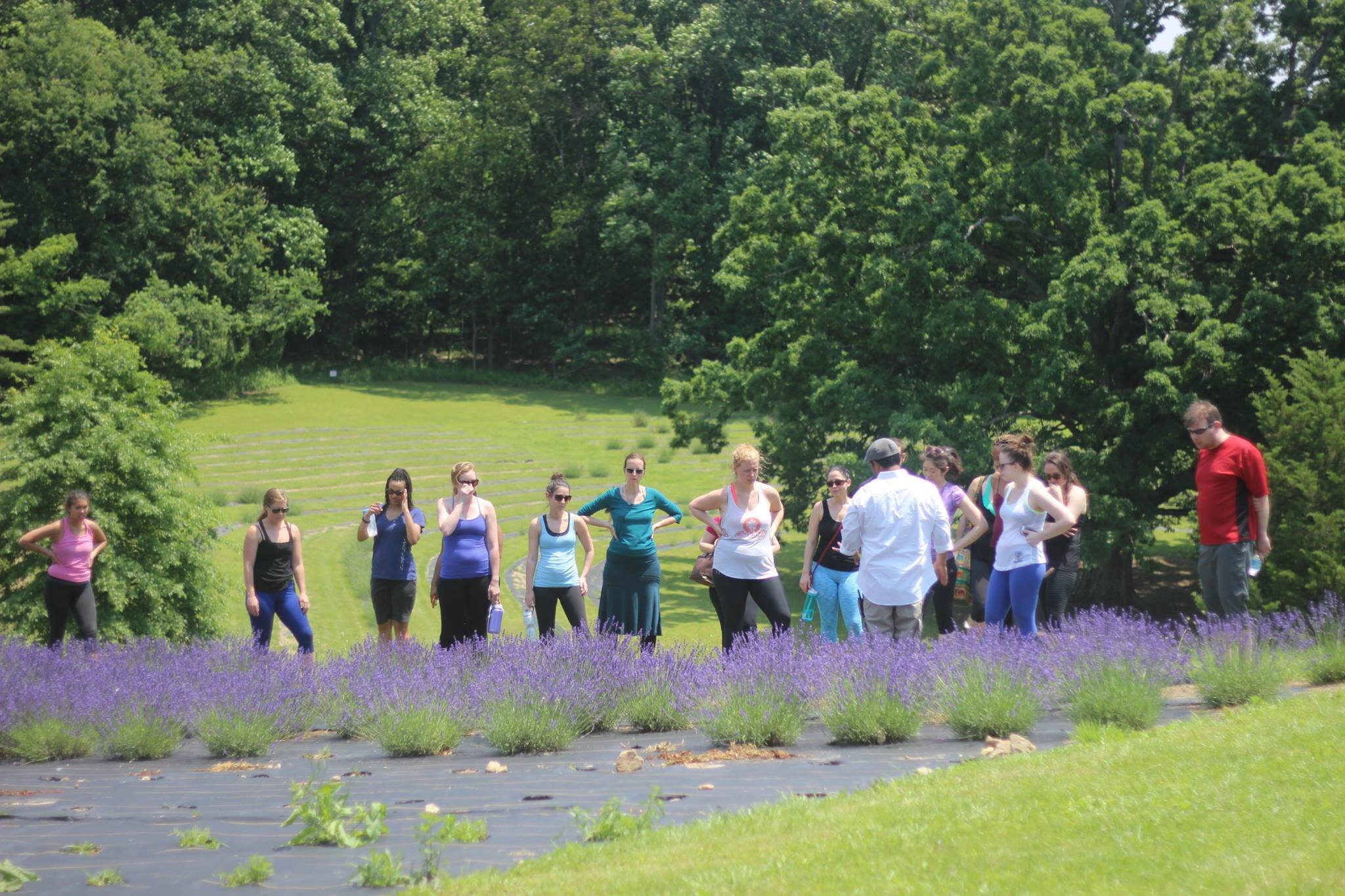 lavenderretreat4.jpg