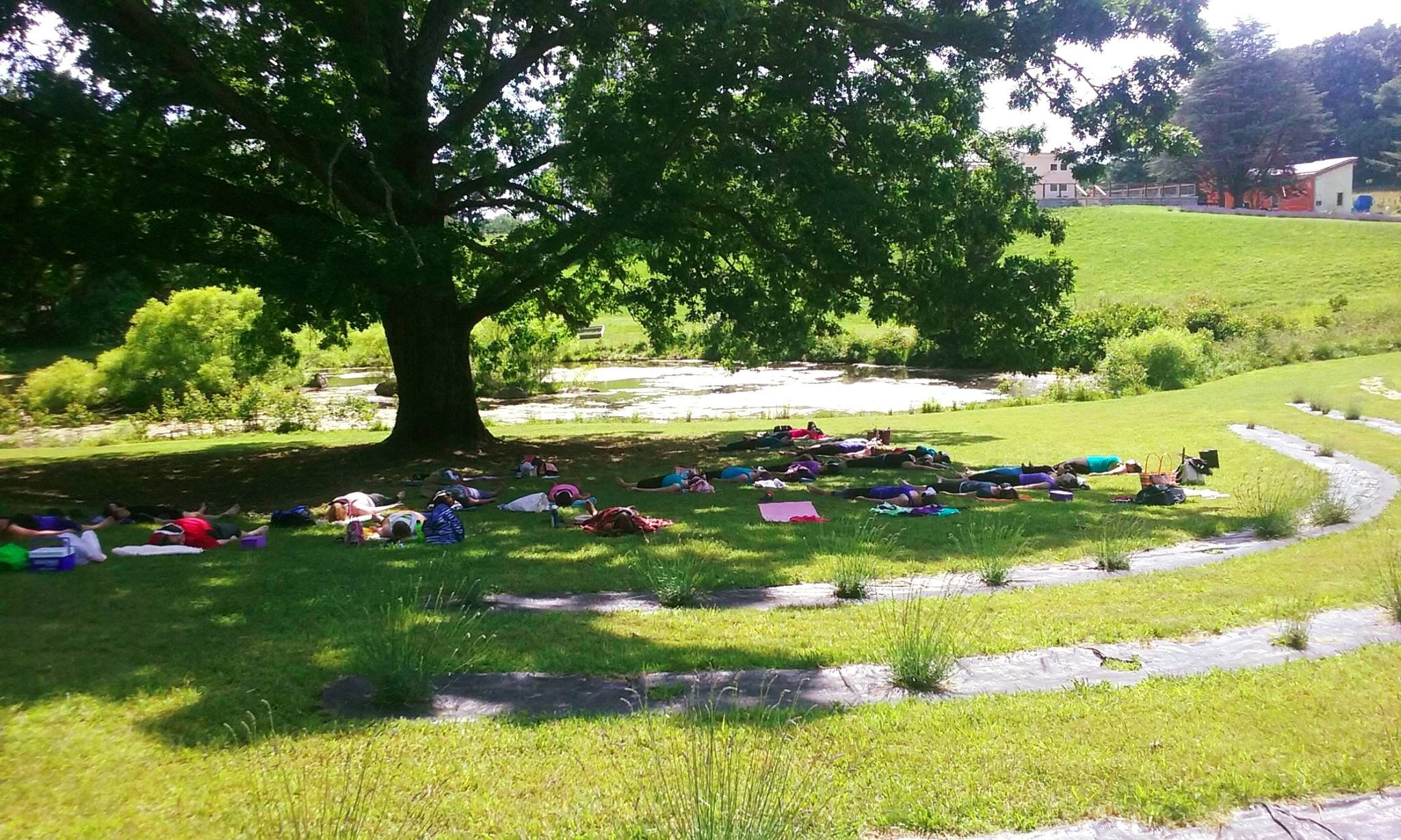 lavenderretreat7.jpg