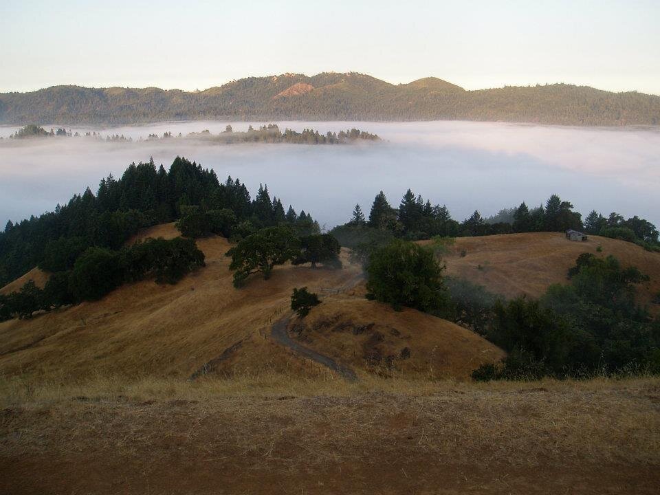 russianriverretreat8.jpg
