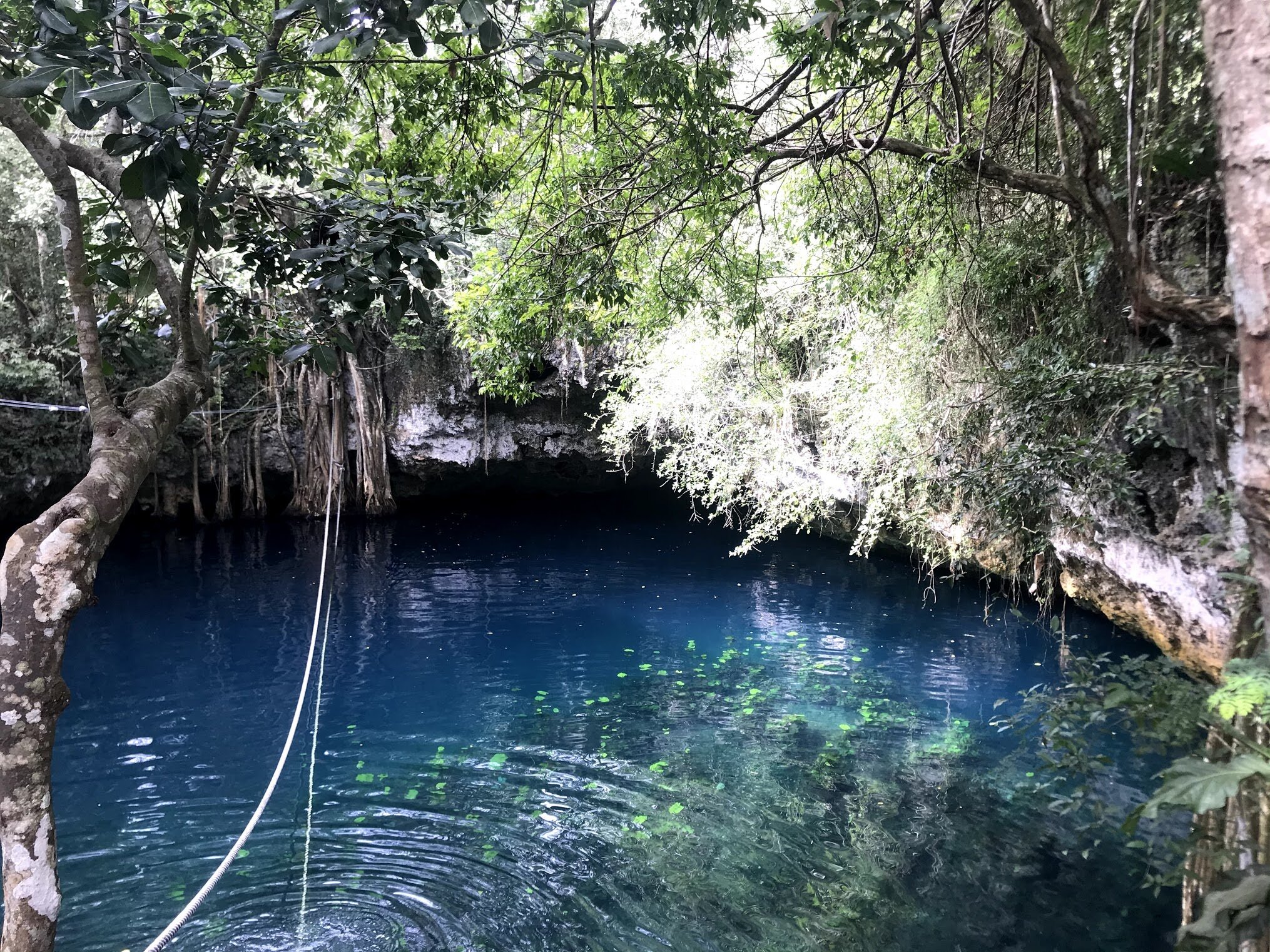 puerto morelos 29.jpg