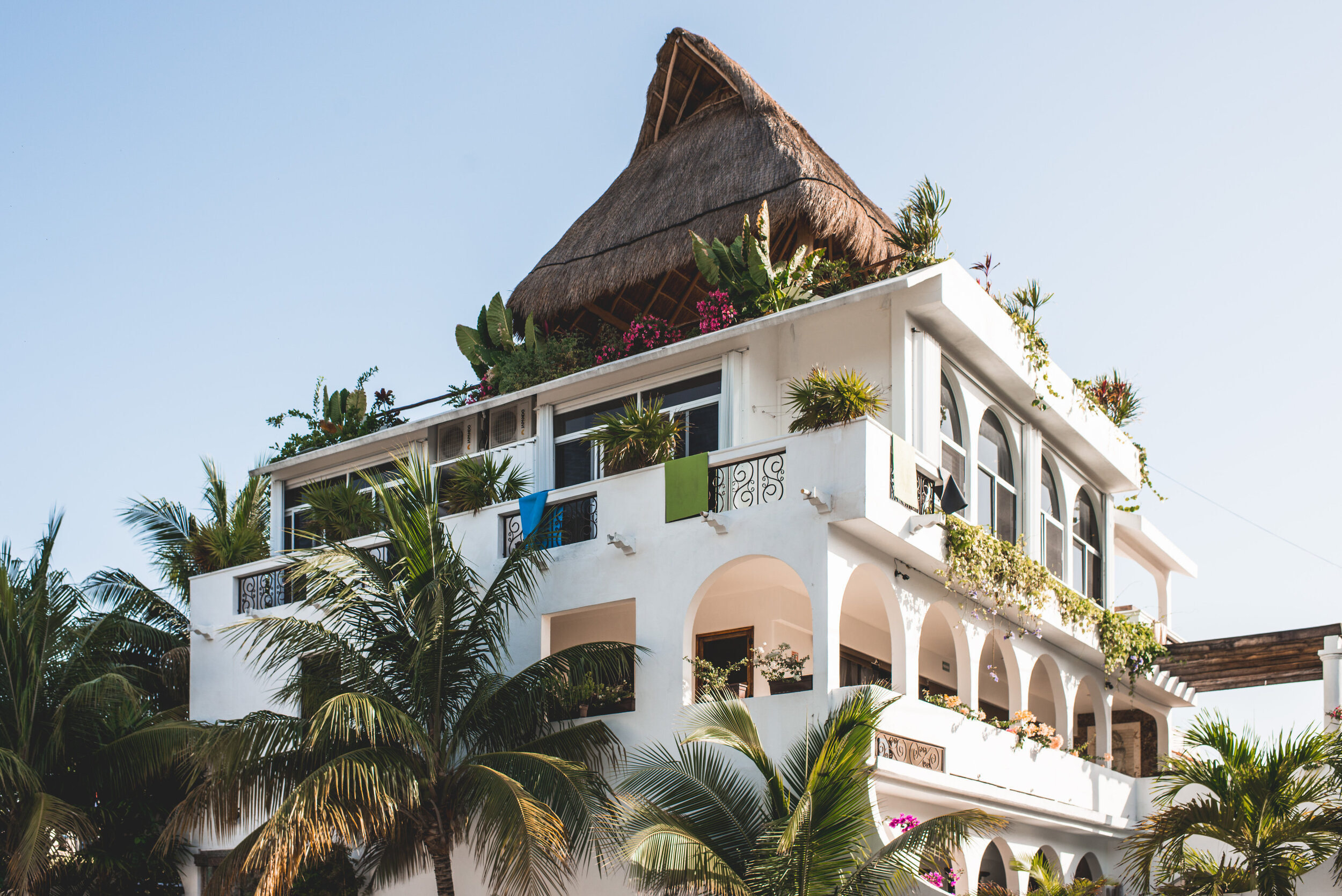 Mexico Yoga Retreat with Lily Dwyer Begg