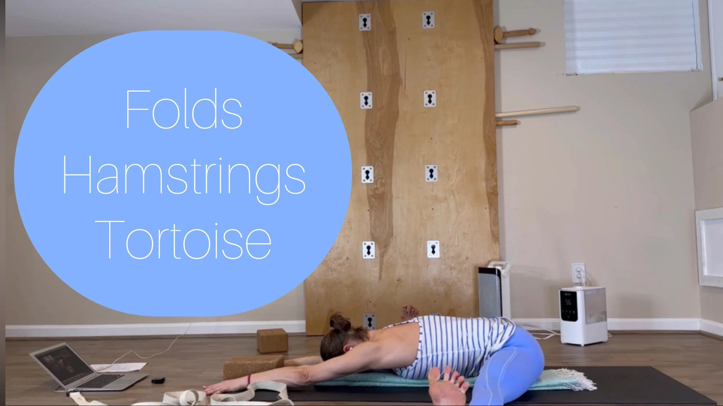 Folds, Hamstrings, Kurmasana