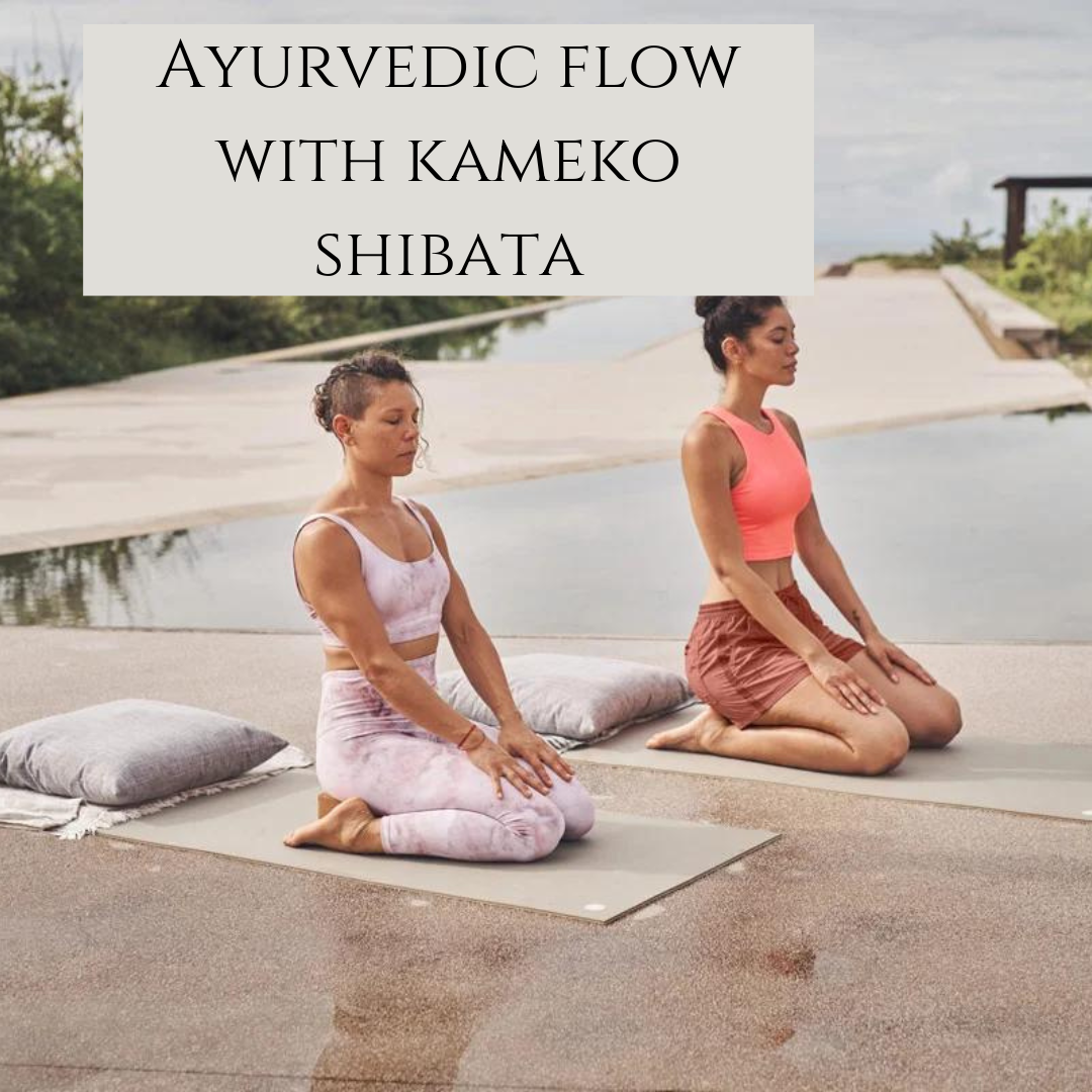 Kameko Shibata 9/19/24