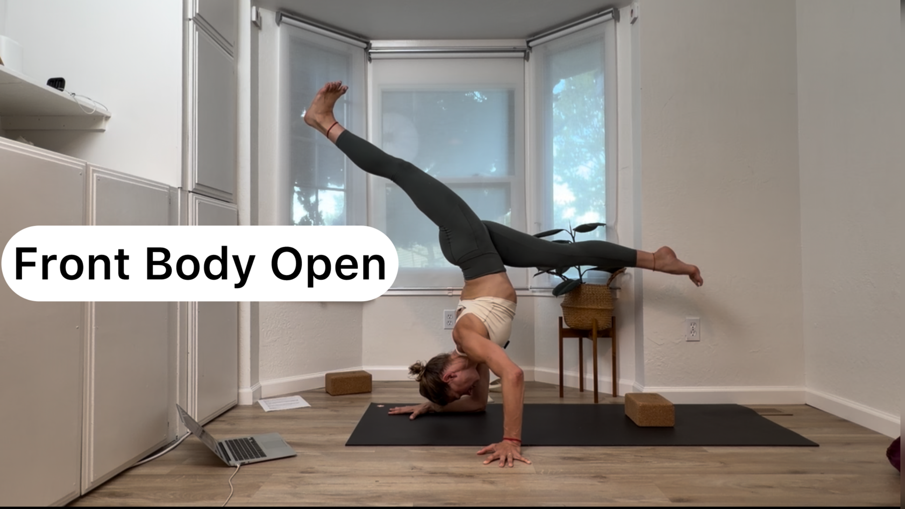 Front Body Open (no chatturangas, good for wrist/elbow injuries)