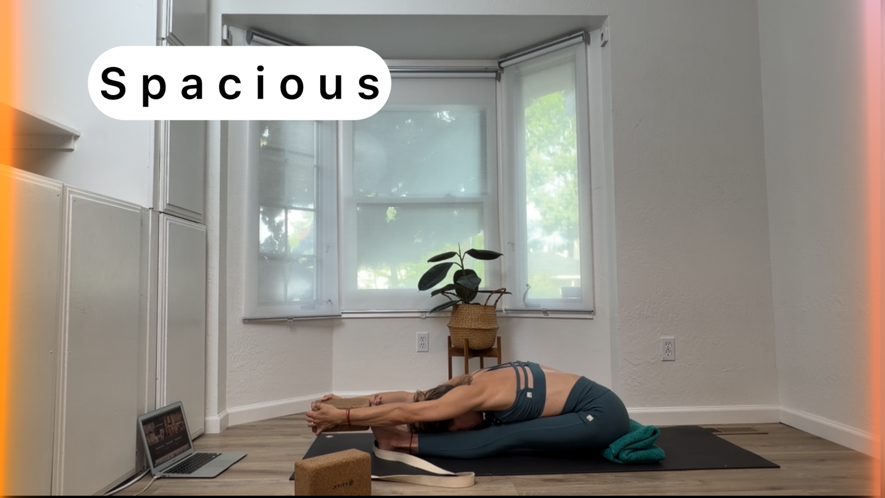 S p a c i o u s