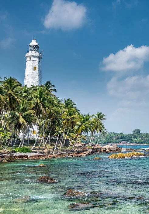 Galle-490x705-1.jpg