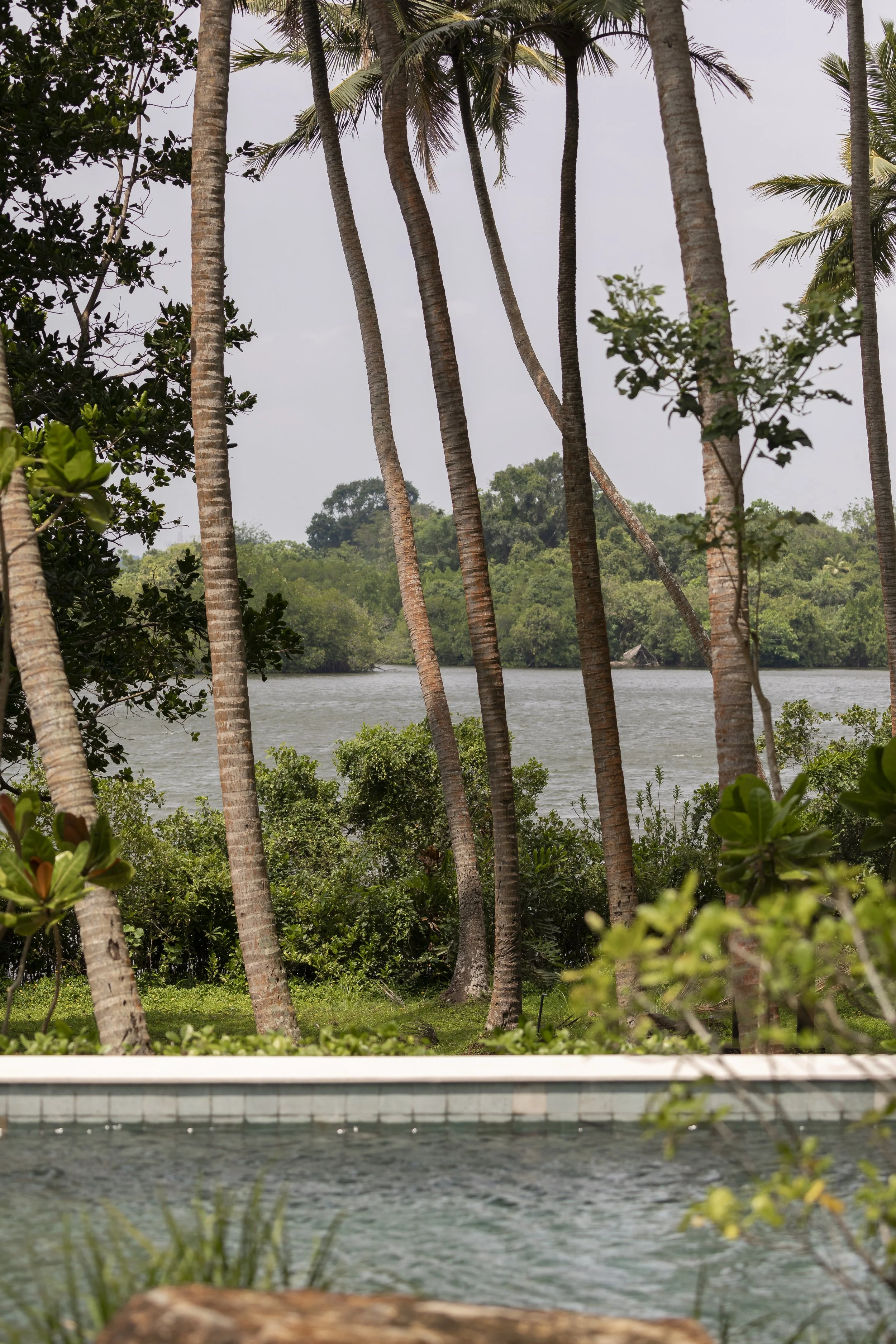 Copy of IMG_1909.jpg